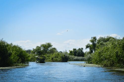 A varázslatos Tisza-tó